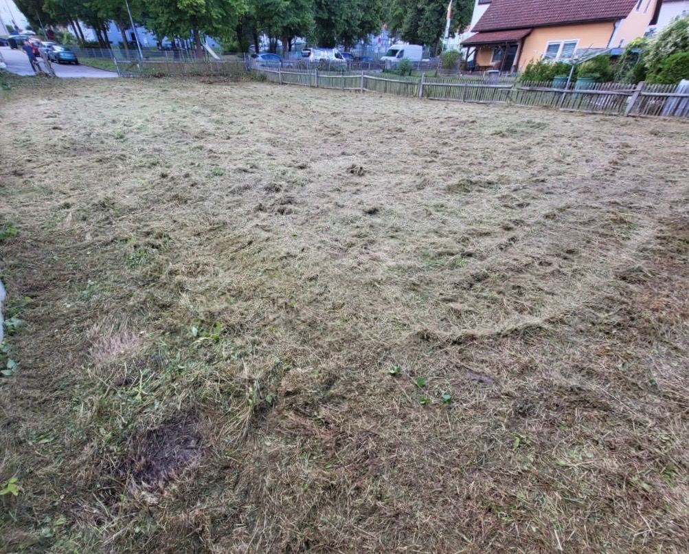 Foto der Immobilie (27810)