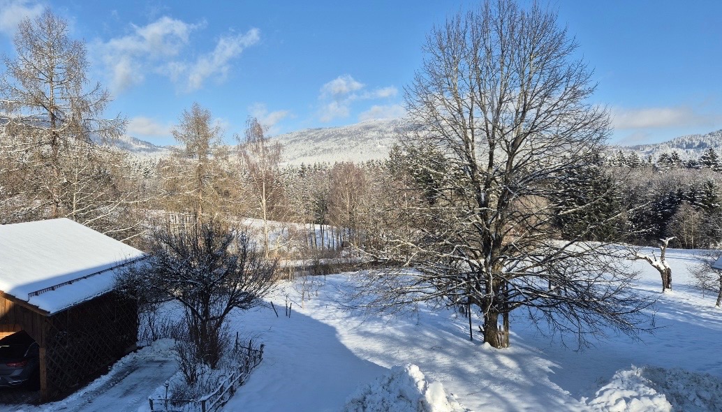 Foto der Immobilie (28448)