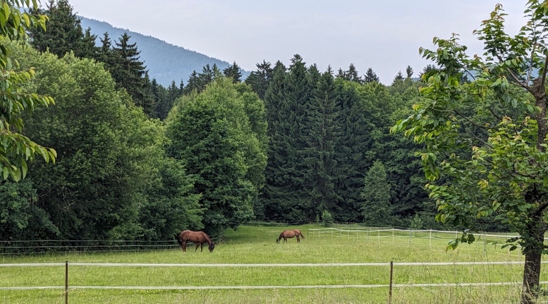 Foto der Immobilie (28434)