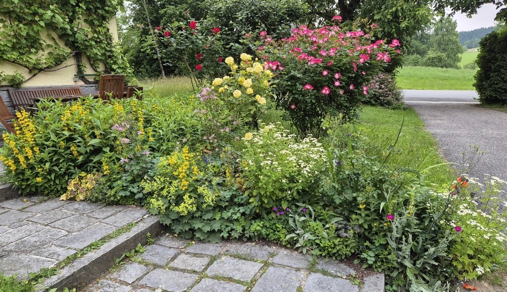 Foto der Immobilie (28429)