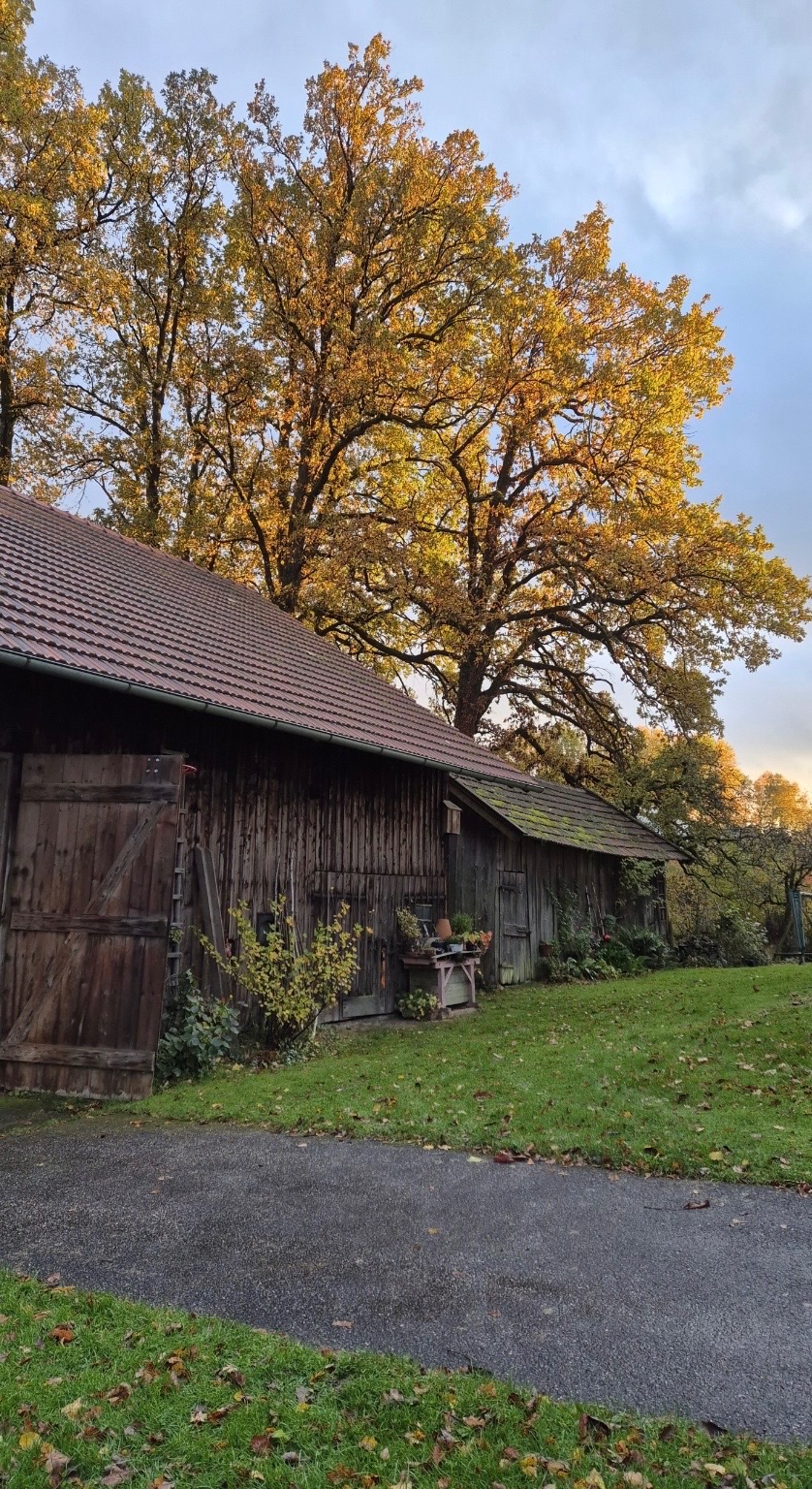 Foto der Immobilie (28428)