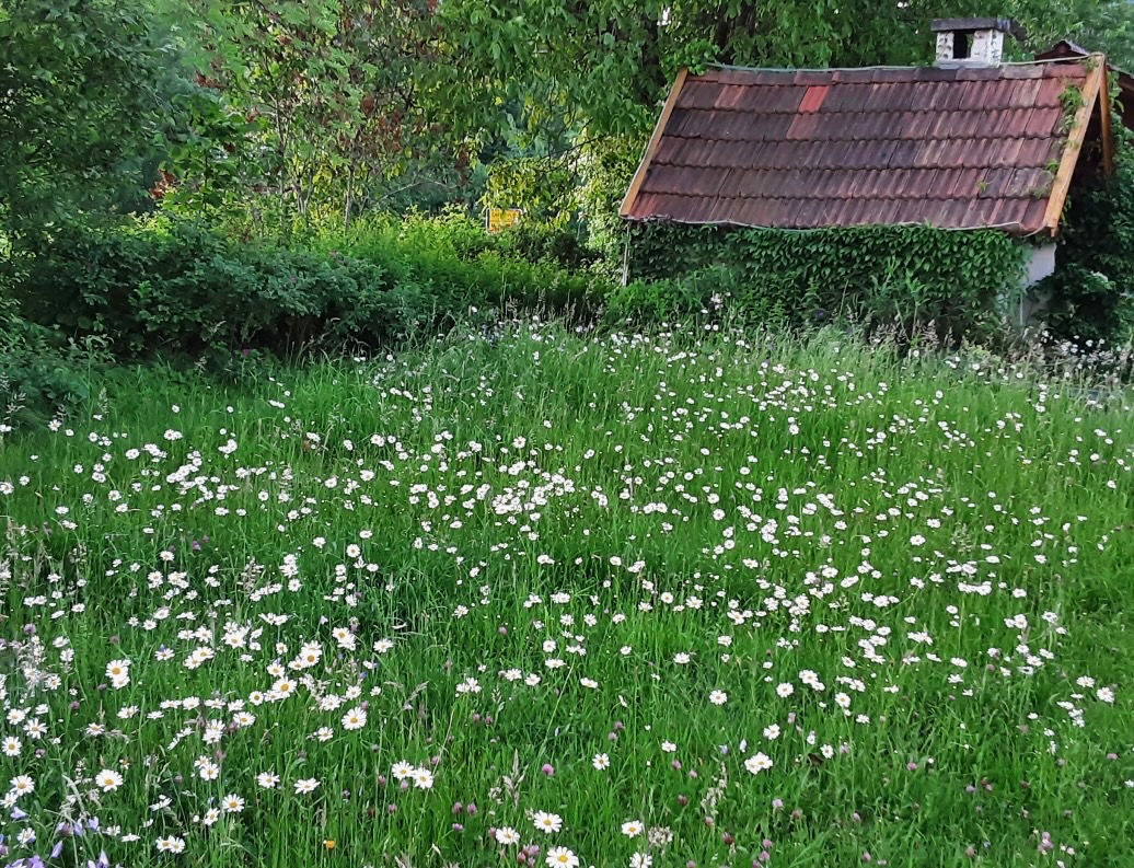 Foto der Immobilie (28441)