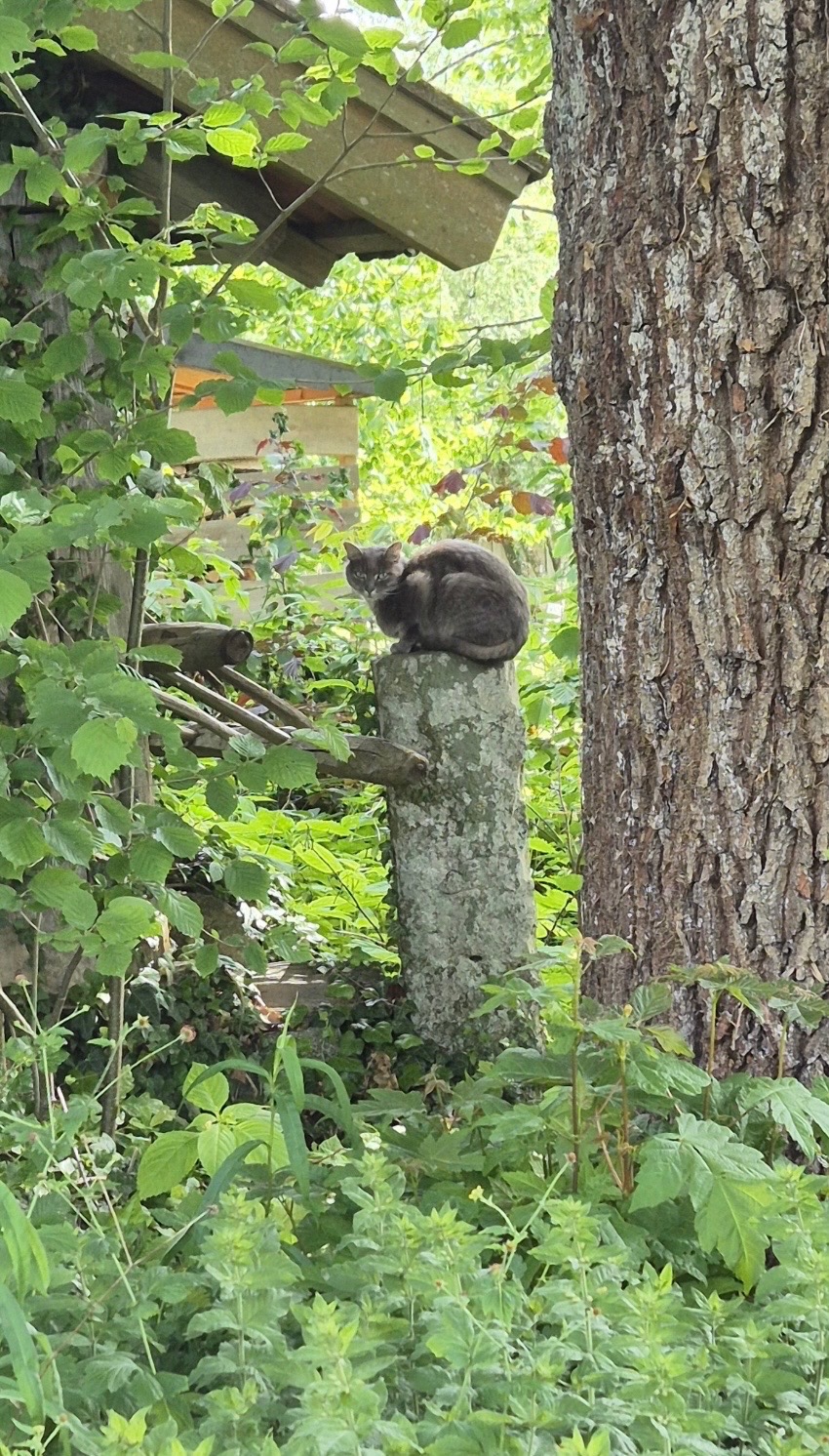 Foto der Immobilie (28435)