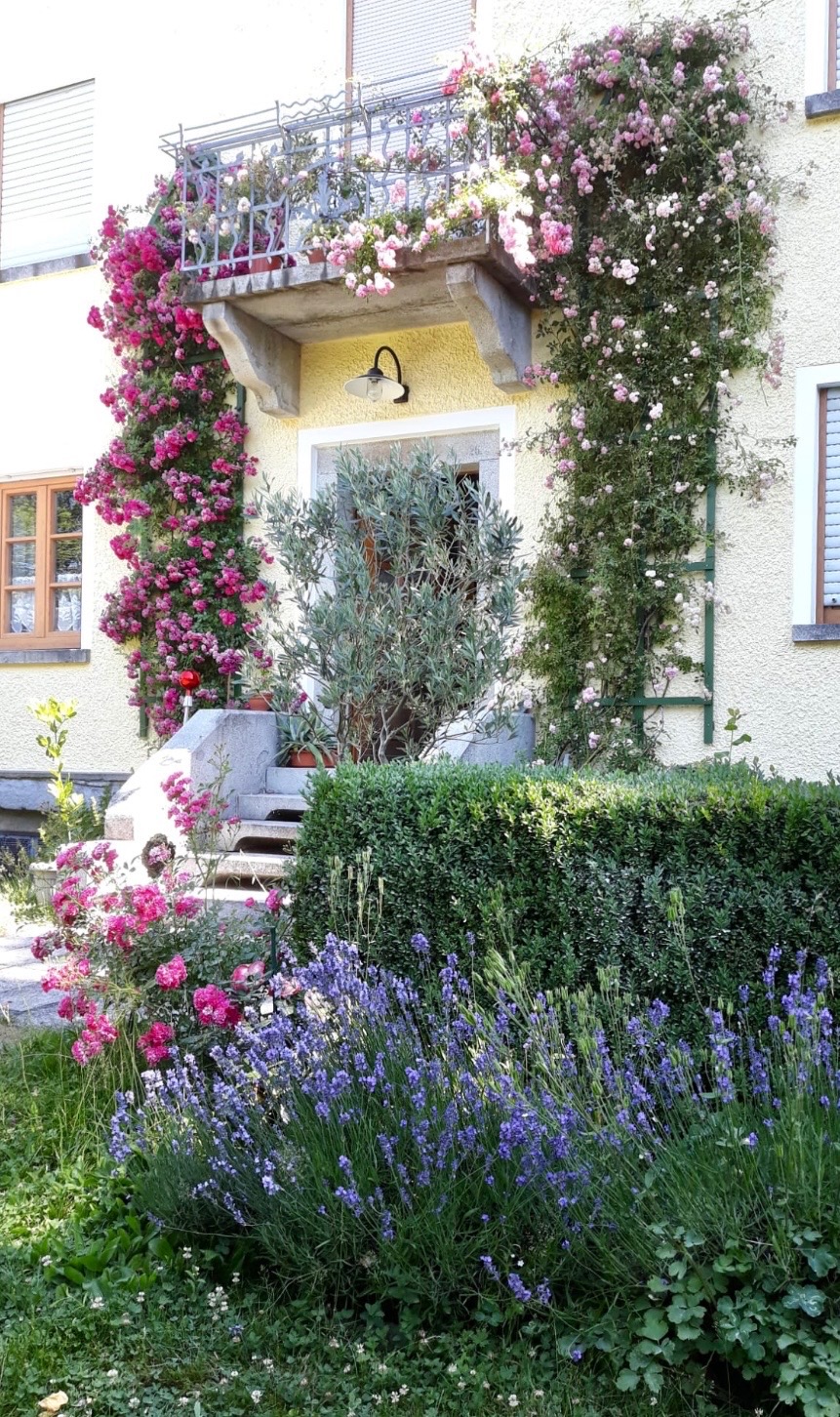 Foto der Immobilie (28426)