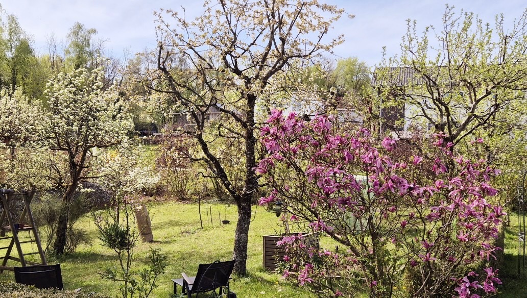 Foto der Immobilie (28442)