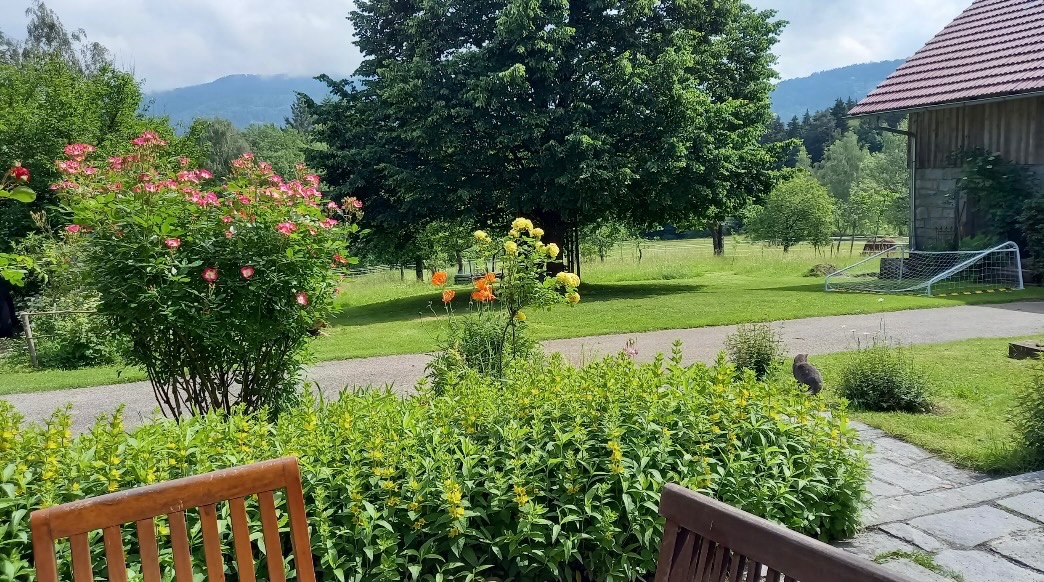 Foto der Immobilie (28438)