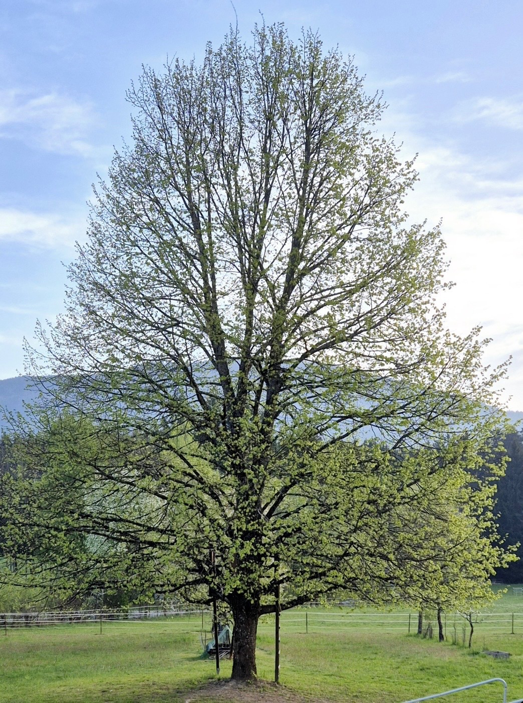 Foto der Immobilie (28445)