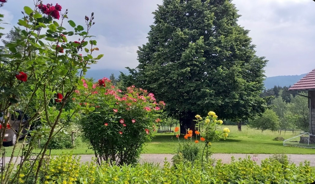 Foto der Immobilie (28437)