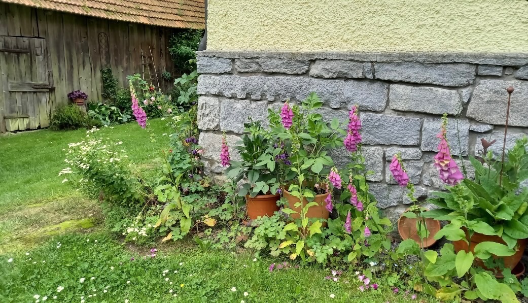 Foto der Immobilie (28436)