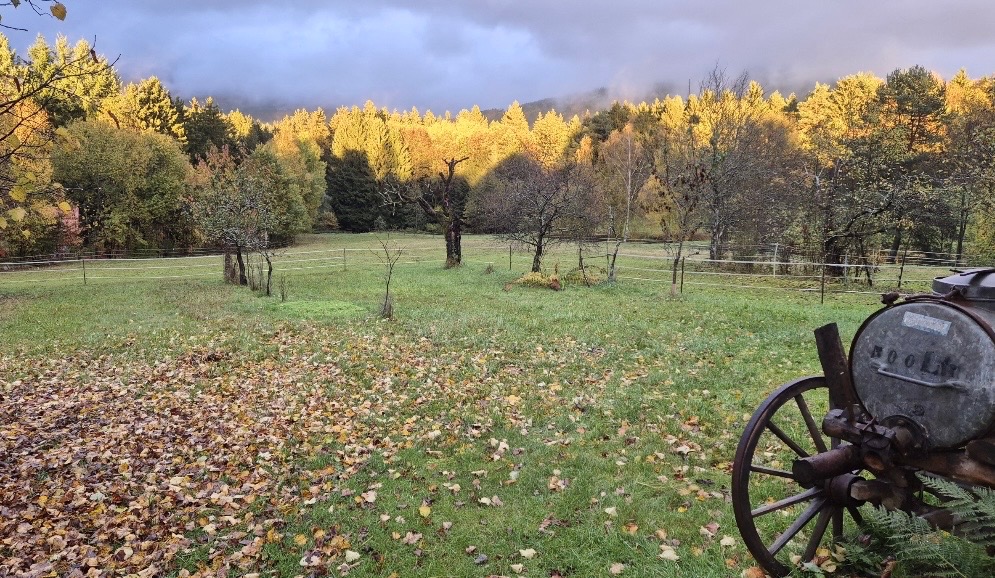 Foto der Immobilie (28446)