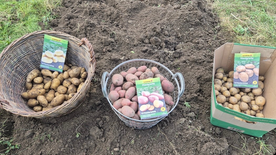 Foto der Immobilie (28443)